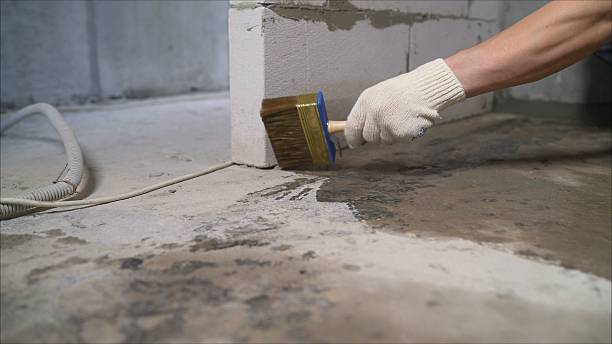 Top rated local Wet Basement Repair specialists in Burrton, KS